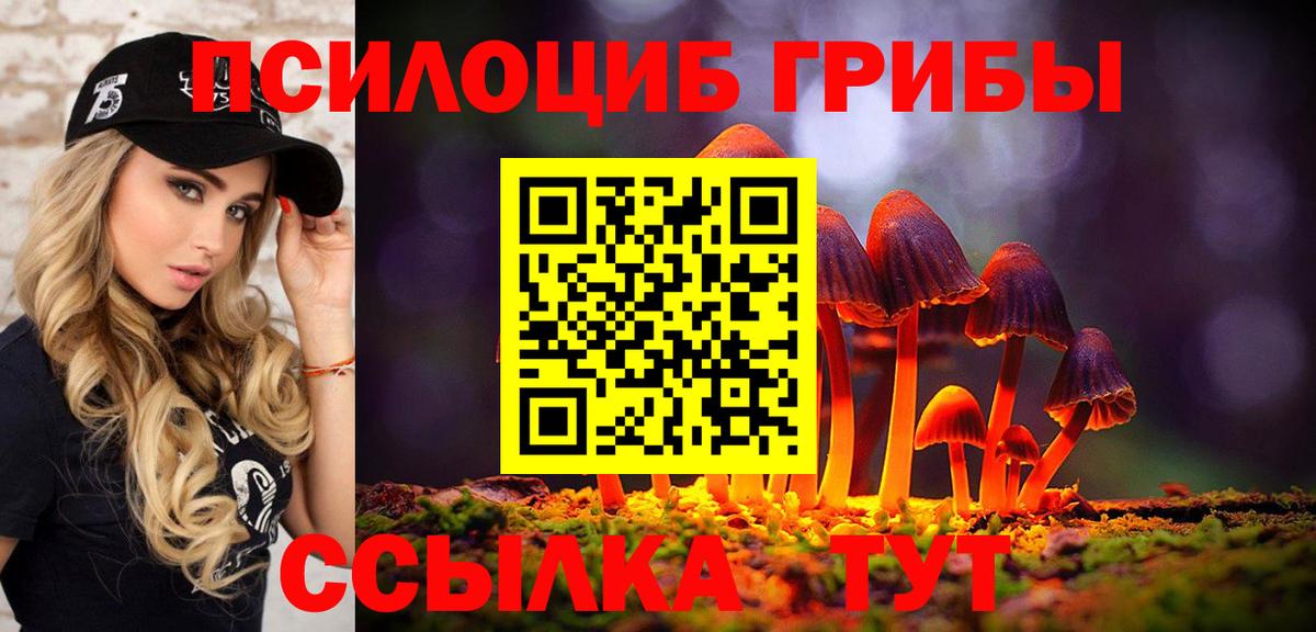 Псилоцибиновые грибы Magic Shrooms Сургут